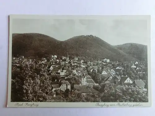 Alte AK Bad Harzburg Burgberg v. Butterberg um 1930 [aK457]
