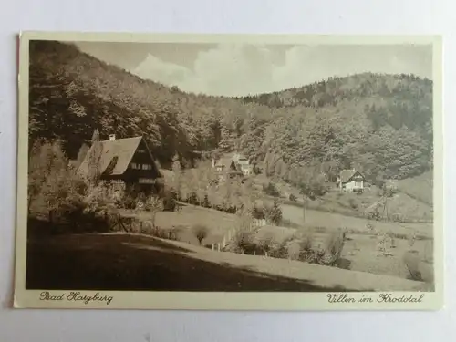 Alte AK Bad Harzburg Villen im Krodotal um 1930 [aK458]