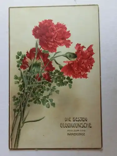 Alte AK Grußkarte Namenstag Nelken um 1925 [aK675]