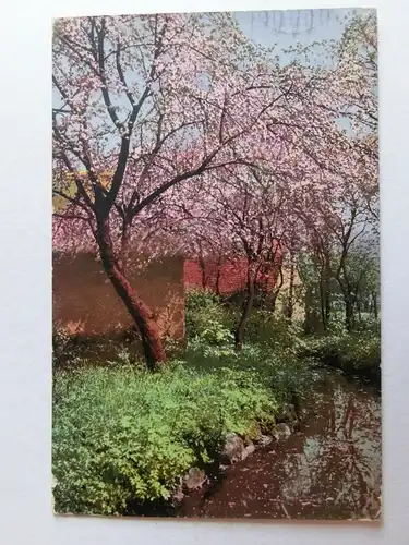 Alte AK Grußkarte Blühende Bäume Frühling Bach  um 1920 [aK749]