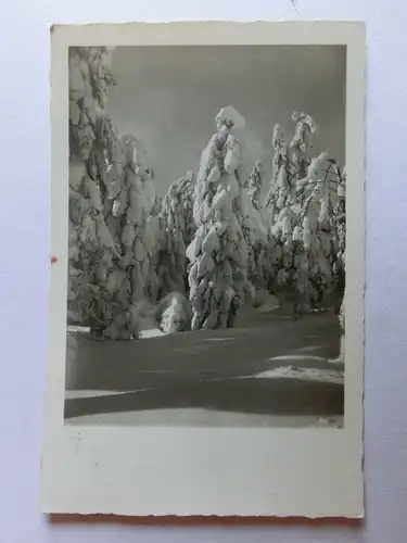 Alte AK Grußkarte Tannen Schnee Winter [aK772]