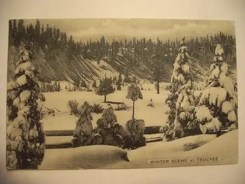 Alte AK Winter Scene at Truckee Nevada USA [aC213]