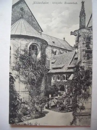 Alte AK Hildesheim 1000 jähr. Rosenstock [aC276]