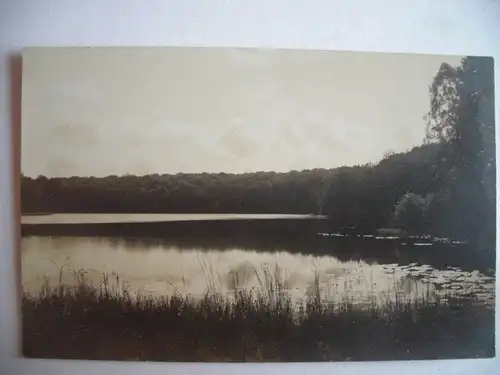 Alte AK Fotokarte Unbekannter See Seerosen [aD15]