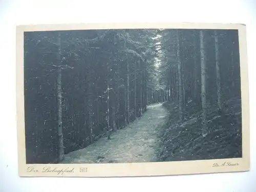 Alte AK Naturfotografie Dr. A. Sauer Der Liebespfad Weg Wald [aD387]