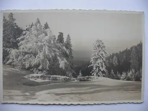 Alte AK Fotokarte Winterlandschaft Stempel Oberhof [aD132]