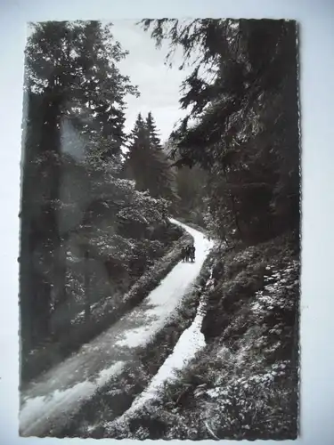 Alte AK Harz Oberharz Wanderweg [aD162]