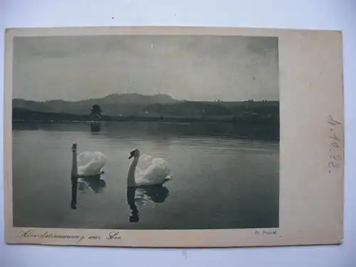 Alte AK Abendstimmung am See Schwan Schwäne [aD129]