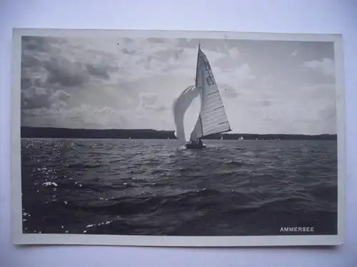 Alte AK Ammersee Segelboot [aD237]