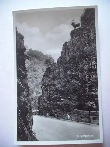 Alte AK Hirschsprung Schwarzwald [S302]