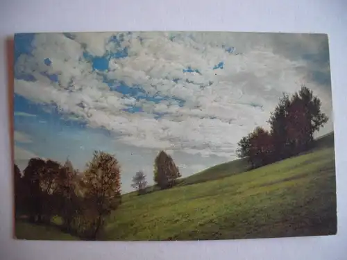 Alte AK Künstlerkarte Landschaft Bäume Wiese [S544]