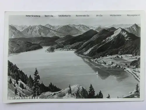 Alte AK Der Walchensee Panoramkarte [aR540]