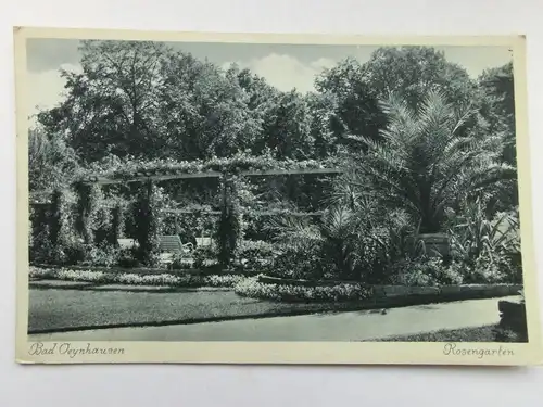 Alte AK Bad Oeynhausen Rosengarten [aR564]