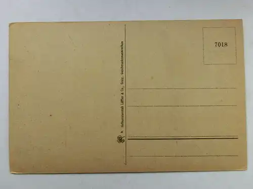 Alte AK Partie im Triebtal Vogtländische Schweiz [aT92]