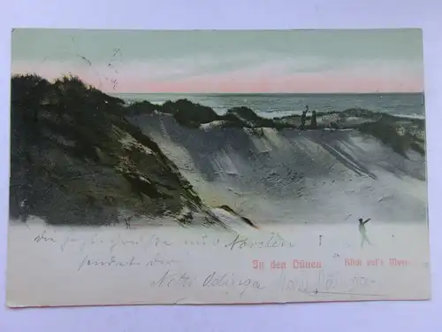 Alte AK In den Dünen Blick aufs Meer 1906 [aT192]