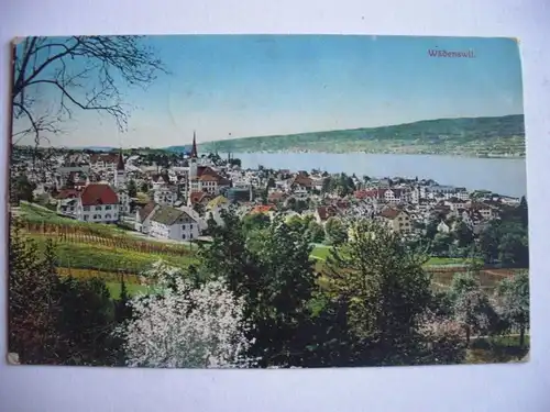 Alte AK Wädenswil um 1911 [C359]