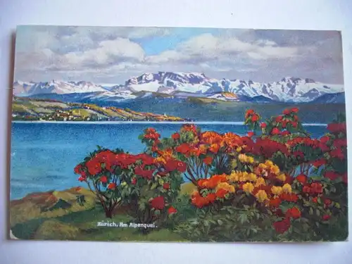 Alte AK Zürich Am Alpenquai Rhododendron [C378]