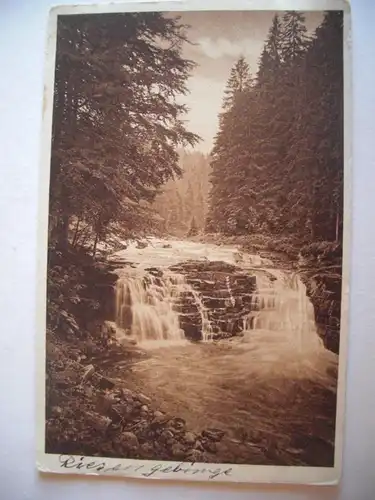 Alte AK Riesengebirge Weisswassergrund Eugen Hein 1925 [C477]