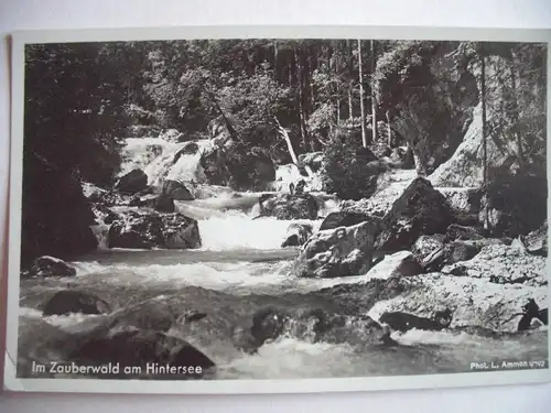 Alte AK Berchtesgaden Im Zauberwald Hintersee [C550]