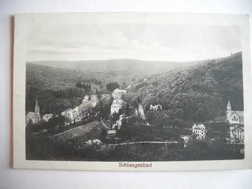 Alte AK Schlangenbad Hessen [C586]