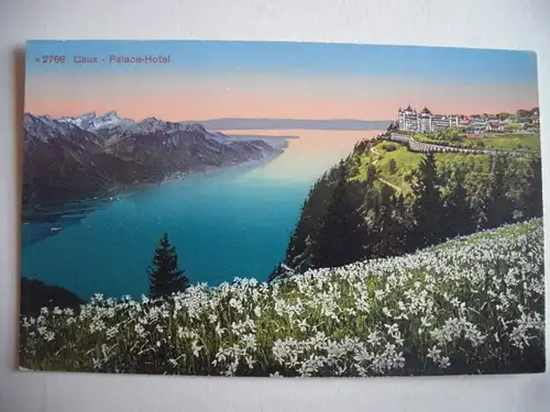 Alte AK Caux Palace Hotel [C617]