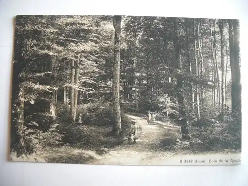 Alte AK Gimel Bois de la Rosier [C643]