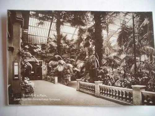 Alte AK Frankfurt Palmengarten Palmenhaus [C533]