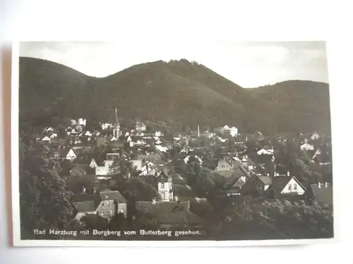 Alte AK Bad Harzburg Burgberg [C544]