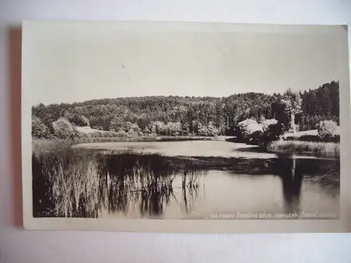 Alte AK Cerne Jezero Schwarzer See Böhmen [C797]