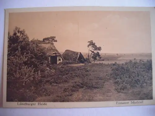 Alte AK Lüneburger Heide Einsamer Schafstall [C746]