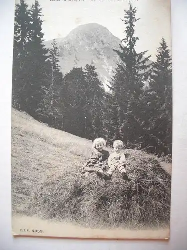 Alte AK Dans la Gruyere Le Moleson [C781]