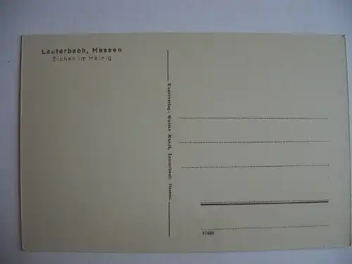 Alte AK Lauterbach Eichen im Hainig Hessen [A171]