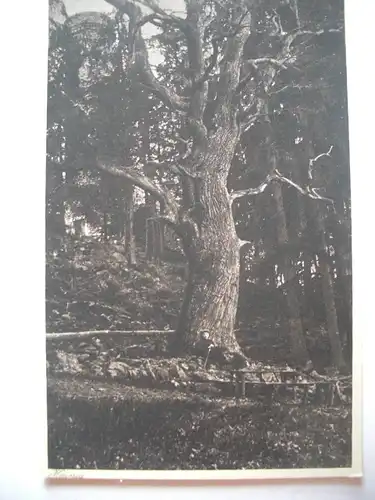 Alte AK Lauterbach Hainig [A173]