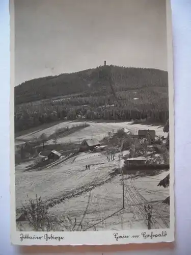 Alte AK Zittauer Gebirge Hain m. Hochwald [830]