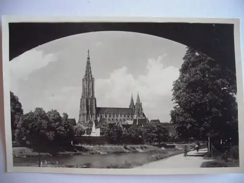 Alte AK Ulm Münster Donau  [159]