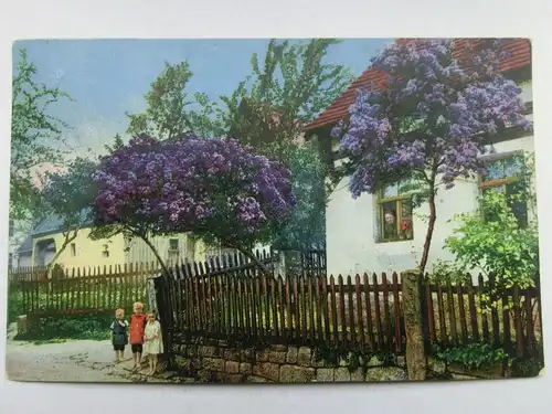 Alte AK Unbekannter Ort Dorf Flieder Kinder Photochromie [aT557]