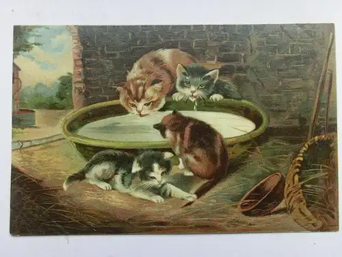 Alte AK Gemäldekarte Hoffmanns Stärkefabrik Katzen Katze [aT566]