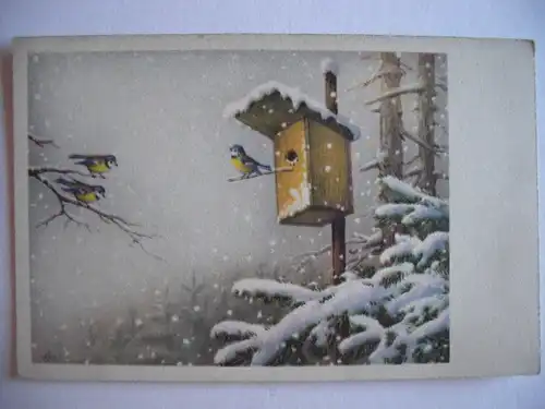 Alte AK Grußkarte Vögel Meisen Winter Futterhäuschen [370]
