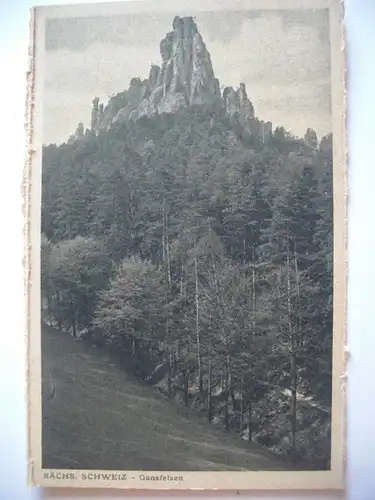Alte AK Gansfelsen Sächsische Schweiz  [407]