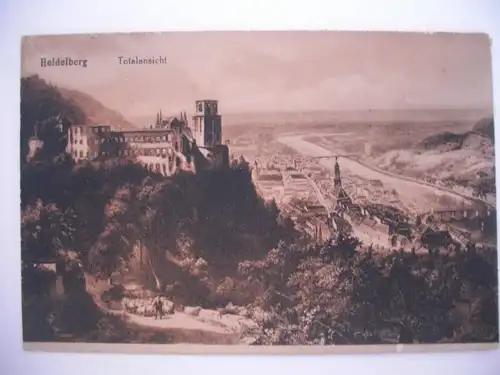 Alte AK Heidelberg Totalansicht [414]