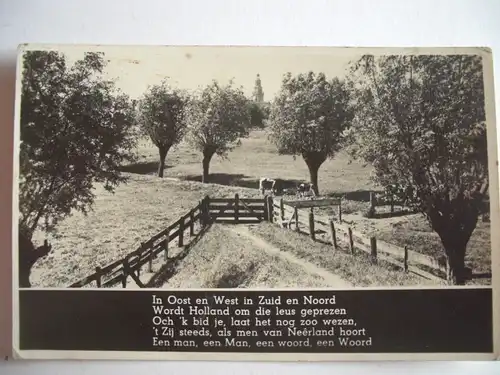 Alte AK Holland „in oost en West in Zuid…“  [486]