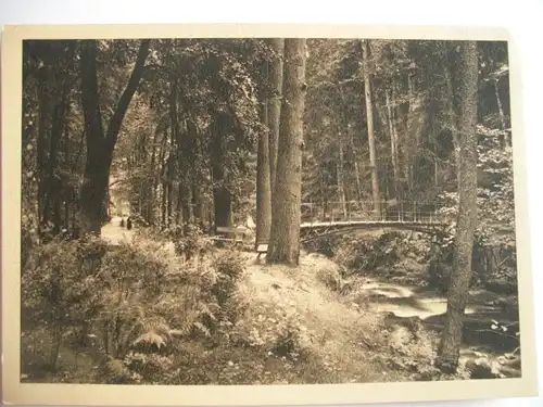 Alte AK Unbekannter Ort Brücke Wald Bach [487]