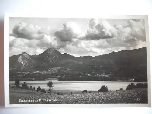 Alte AK Faakersee mit Mittagskogel [581]