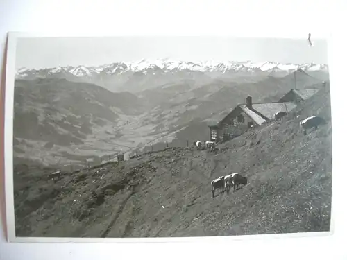 Alte AK Kitzbüheler Horn Gipfelhaus mit Venediger [588]