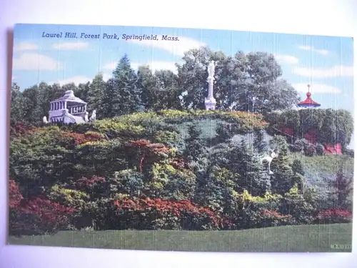 Alte AK Springfield Laurel Hill Forest Park Mass. [626]