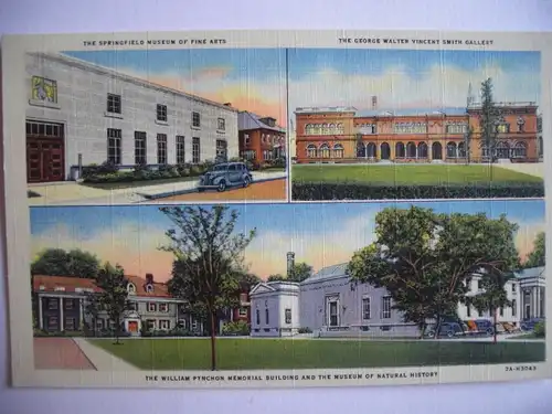 Alte AK Springfield Mass. Museum of fine Art [627]