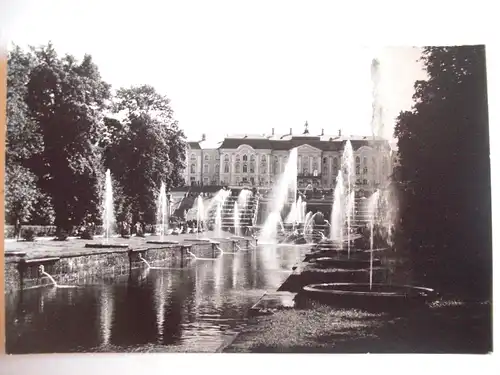 Alte AK Fotokarte handschr. Leningrad Petershof [A1096]