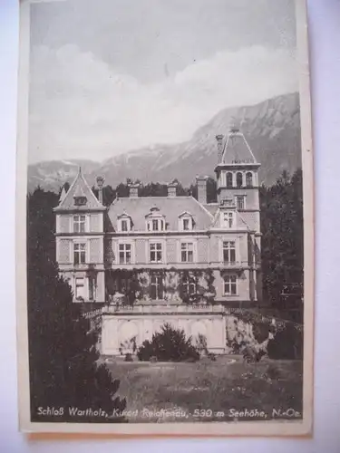 Alte AK Schloß Wartholz Kurort Reichenau [A1129]