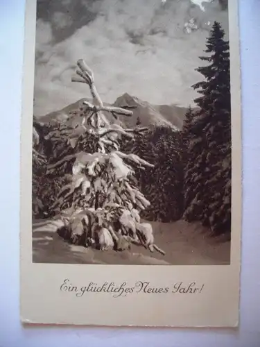 Alte AK Grußkarte Ein glückliches Neues Jahr [A1243]