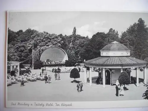 Alte AK Bad Meinberg Teutoburger Wald Kurpark [A995]